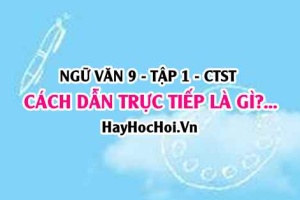 Cách dẫn trực tiếp và cách dẫn gián tiếp là gì? ví dụ? Ngữ văn lớp 9